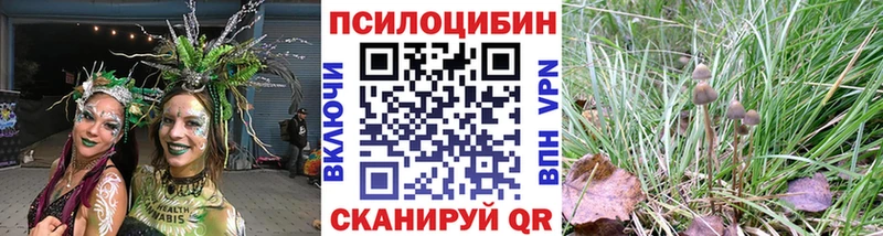 Псилоцибиновые грибы Psilocybe  Самара 